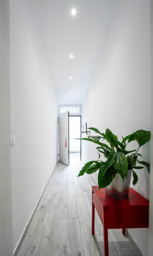 Appartamento Puccinotti House Firenze Esterno foto